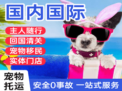 福州航空空运国际宠物托运 【国